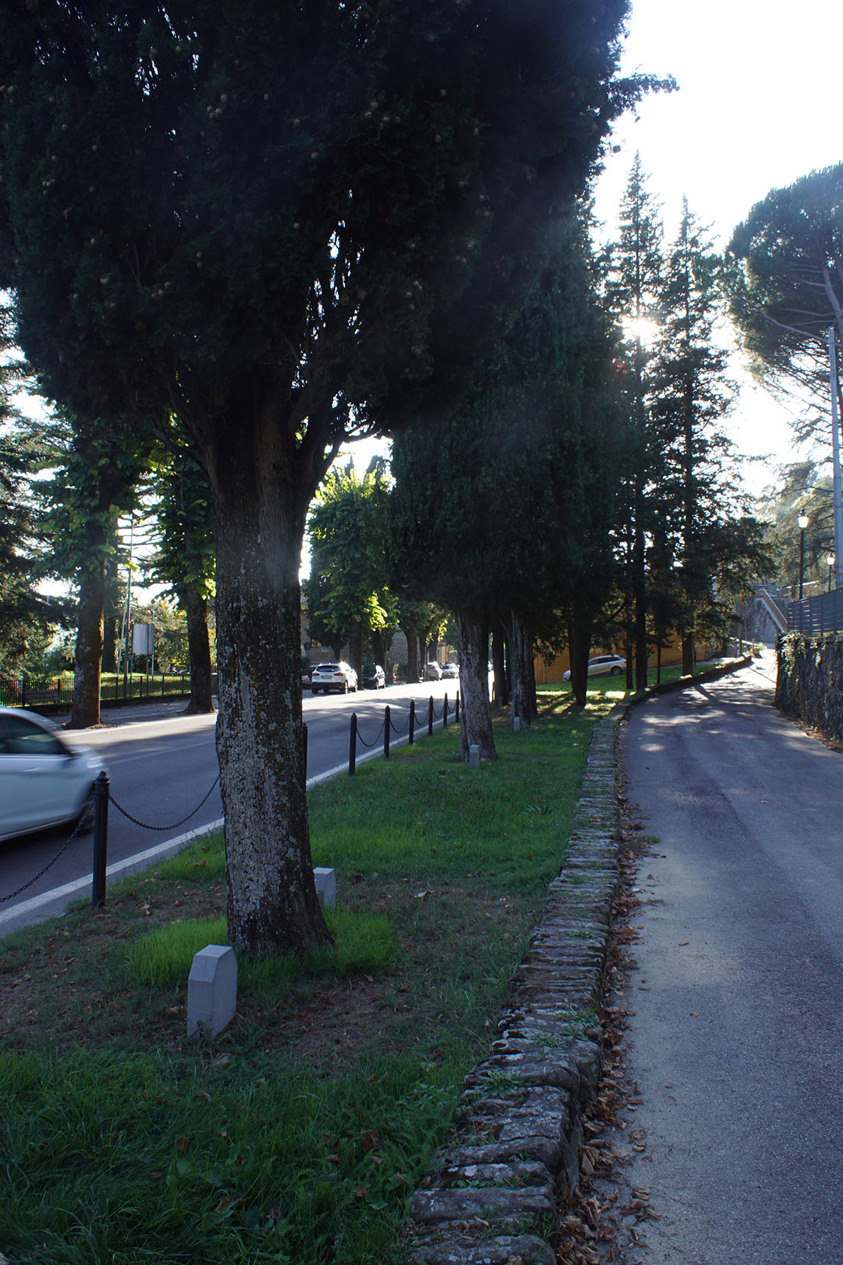 Parco della Rimembranza di Ronta