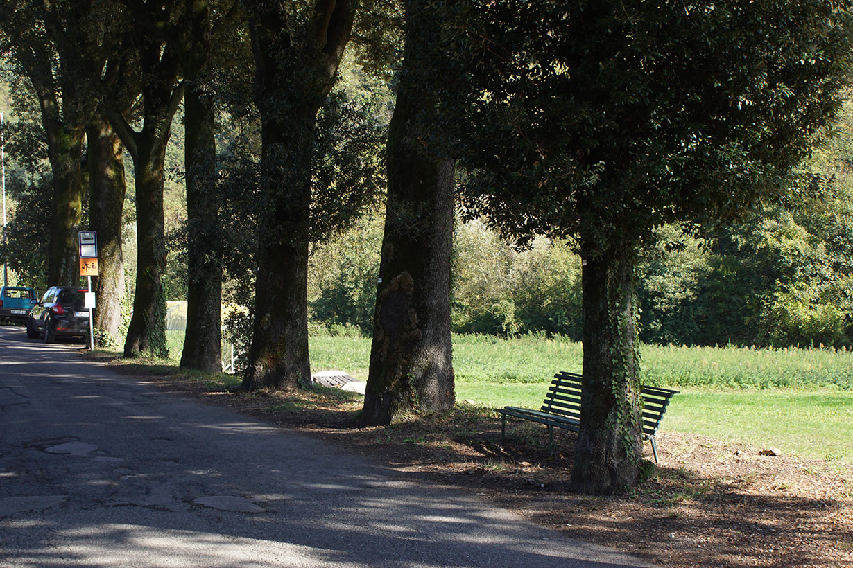 Viale della Rimembranza di Gattaia