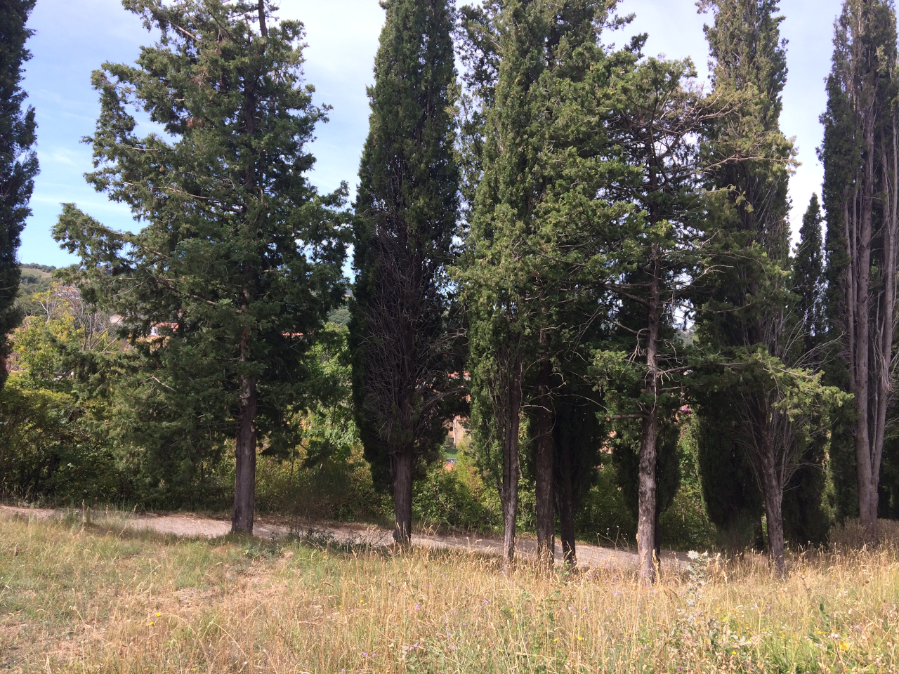 Parco della Rimembranza di Arcidosso