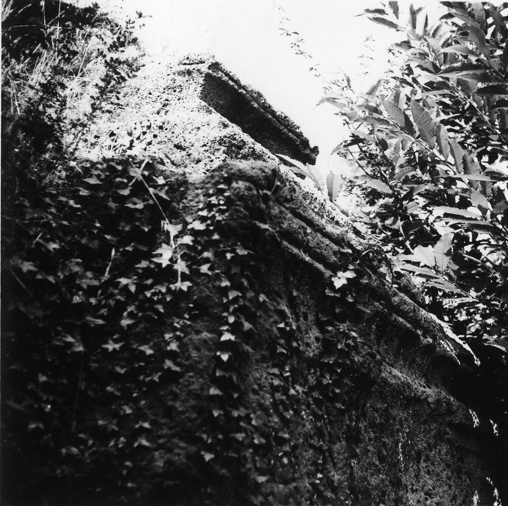Folonia t.2