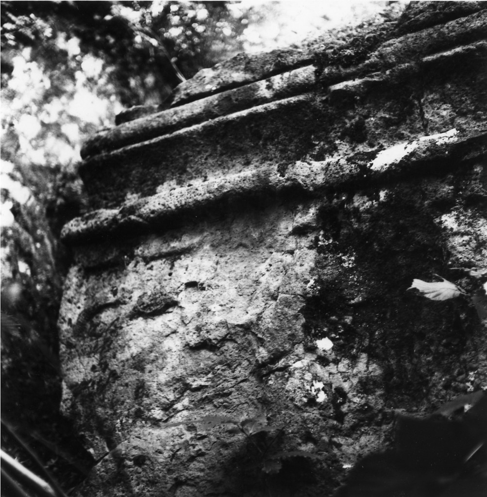 Folonia t.5
