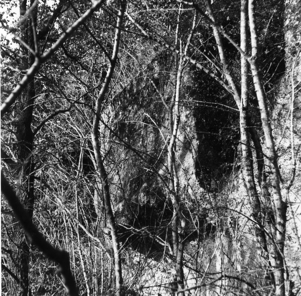 P. Felceto t.2