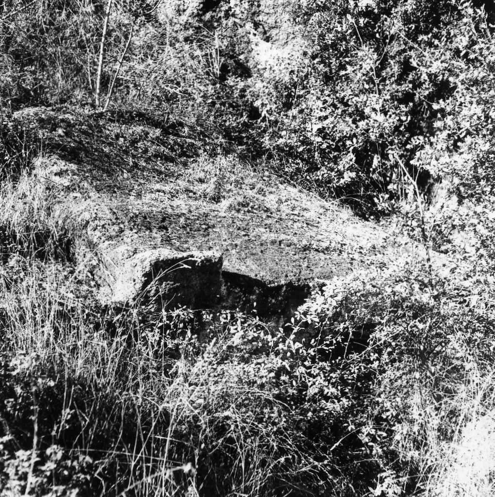 P. Grezzano t.4