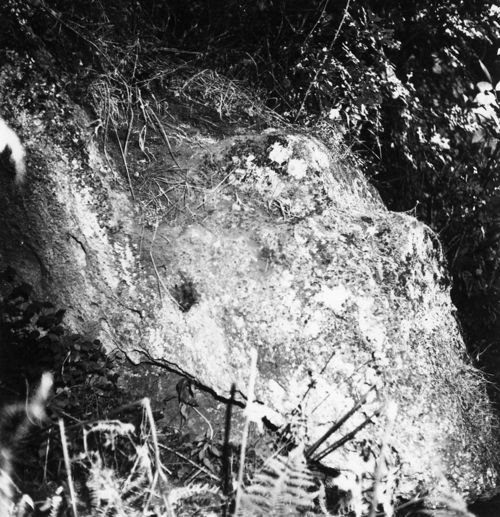P. Stanziale t.10