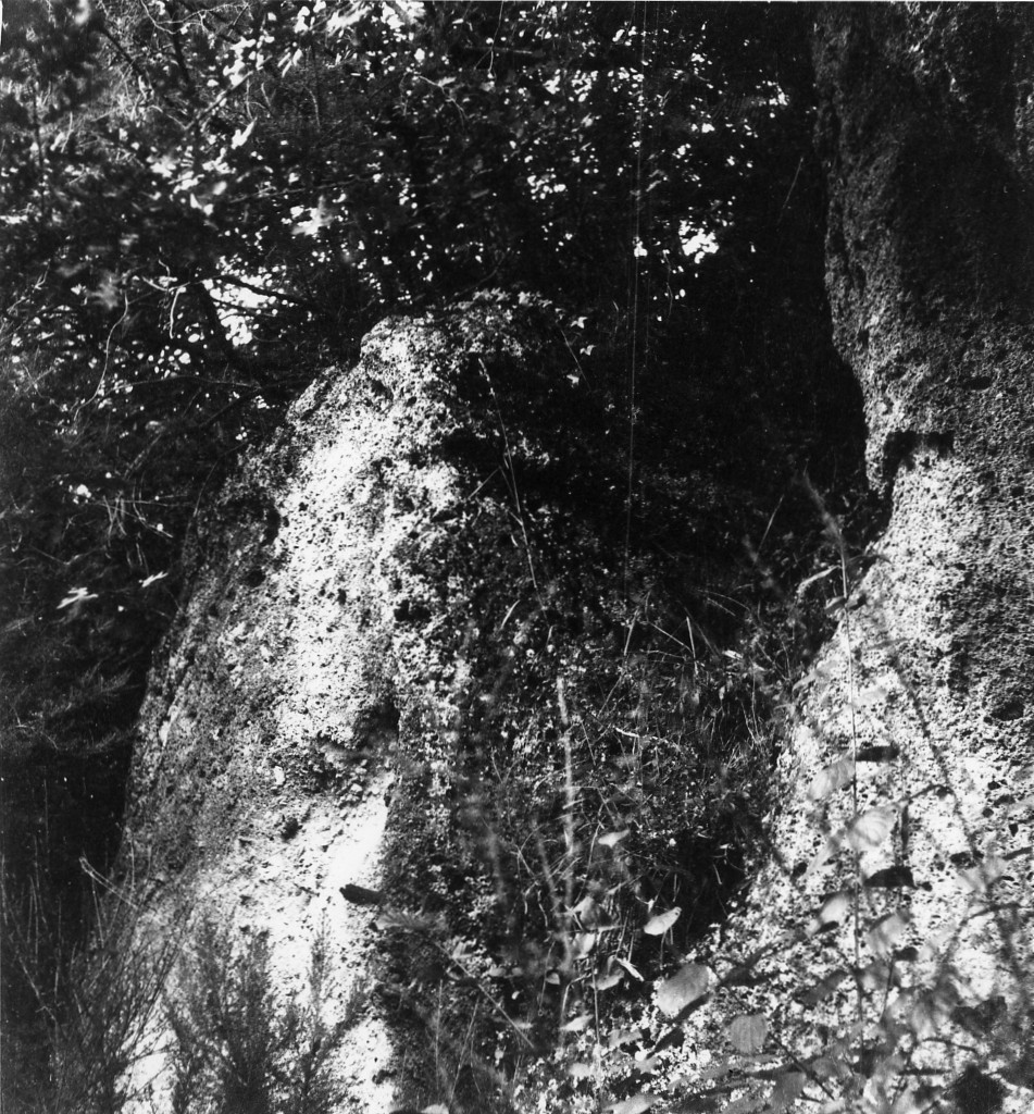 P. Stanziale t.12