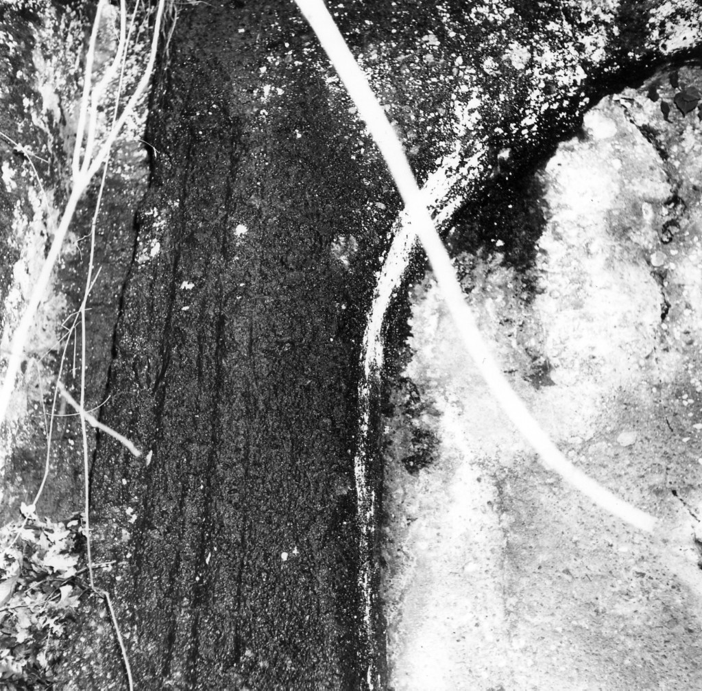 P. Stanziale t.14