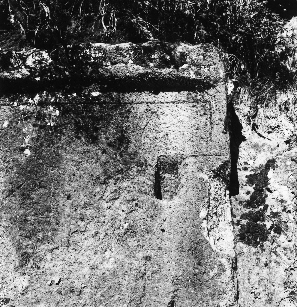 P. Stanziale t.2