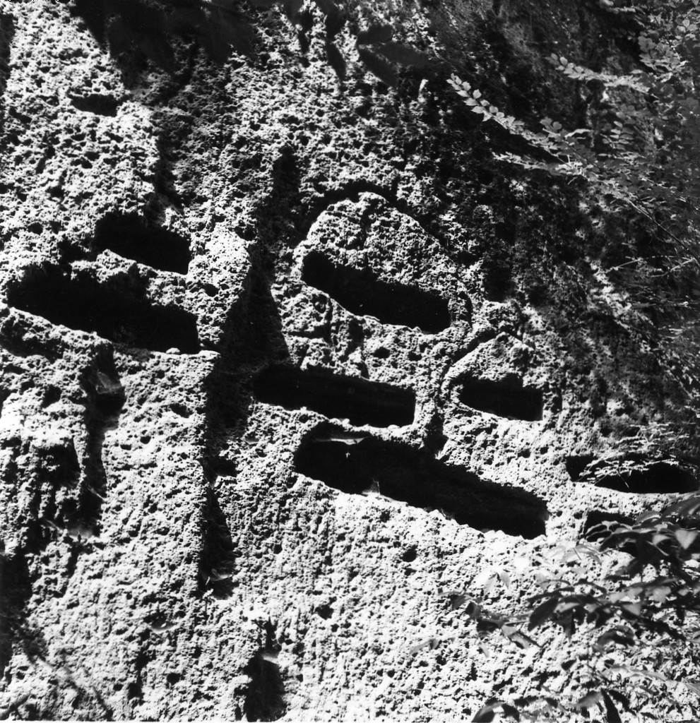 V. Buona t.1 a-e