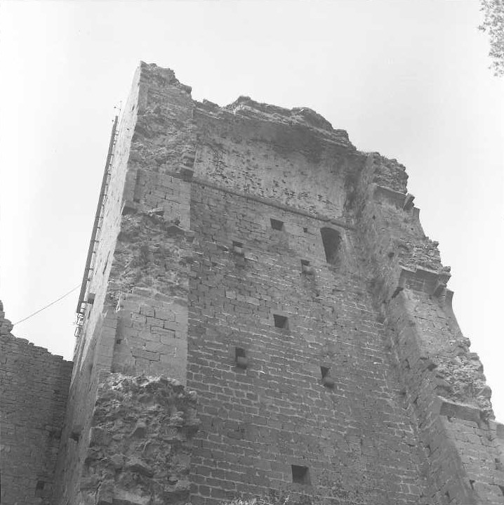 Torre e resti del Castello di Donoratico