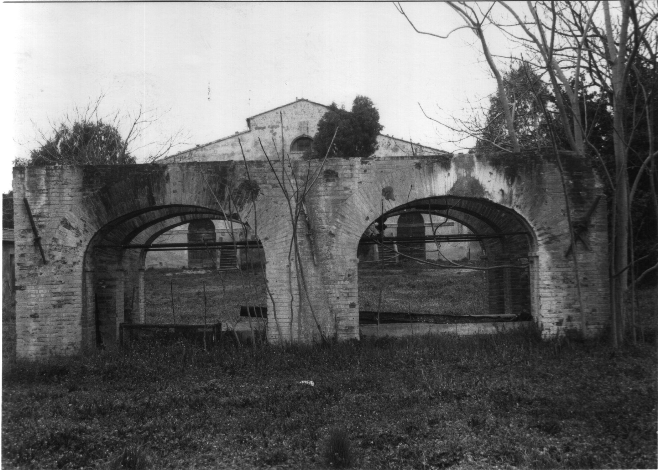 Abbeveratoio della fattoria il Paduletto