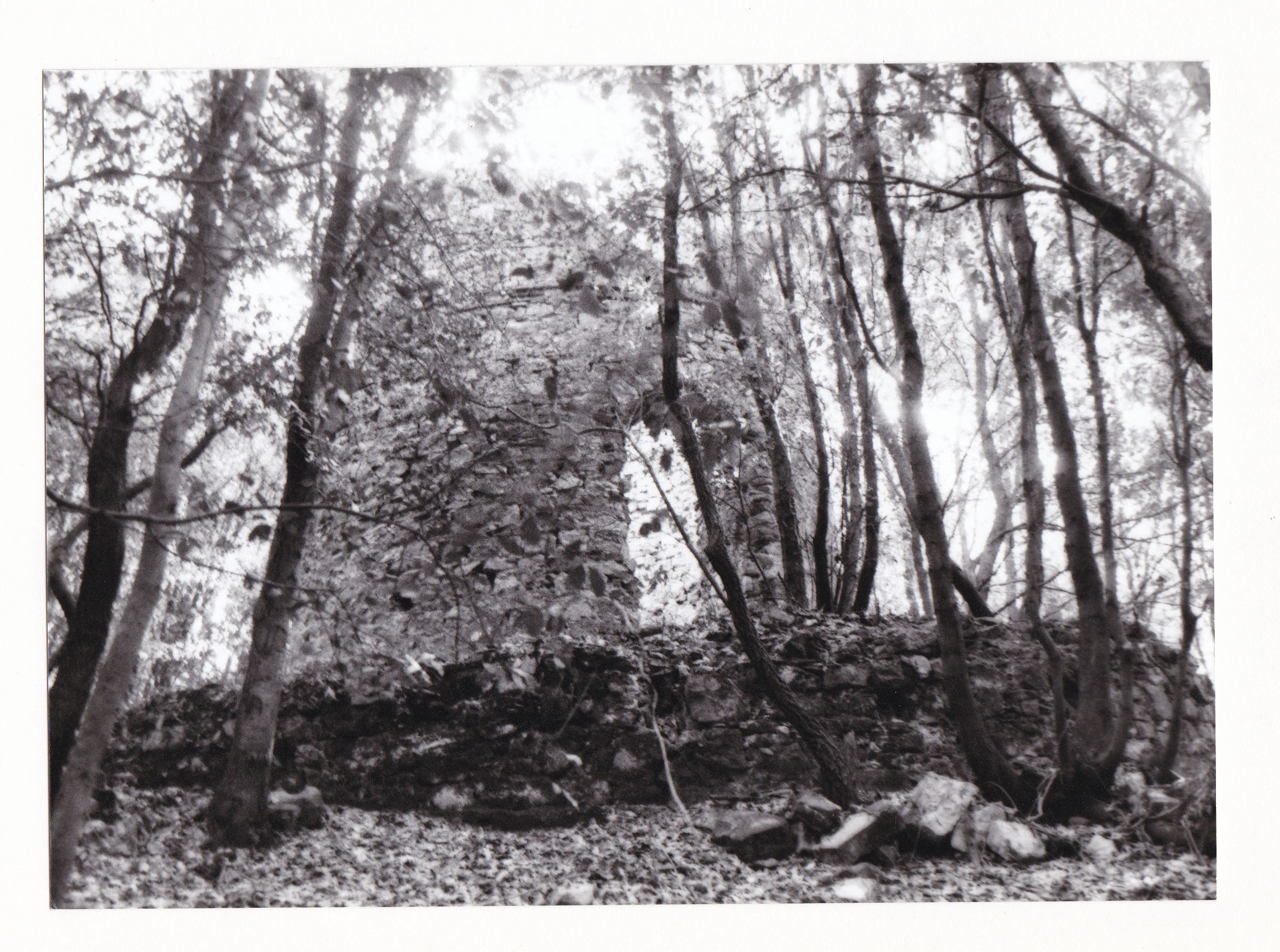 Mulino Tidi