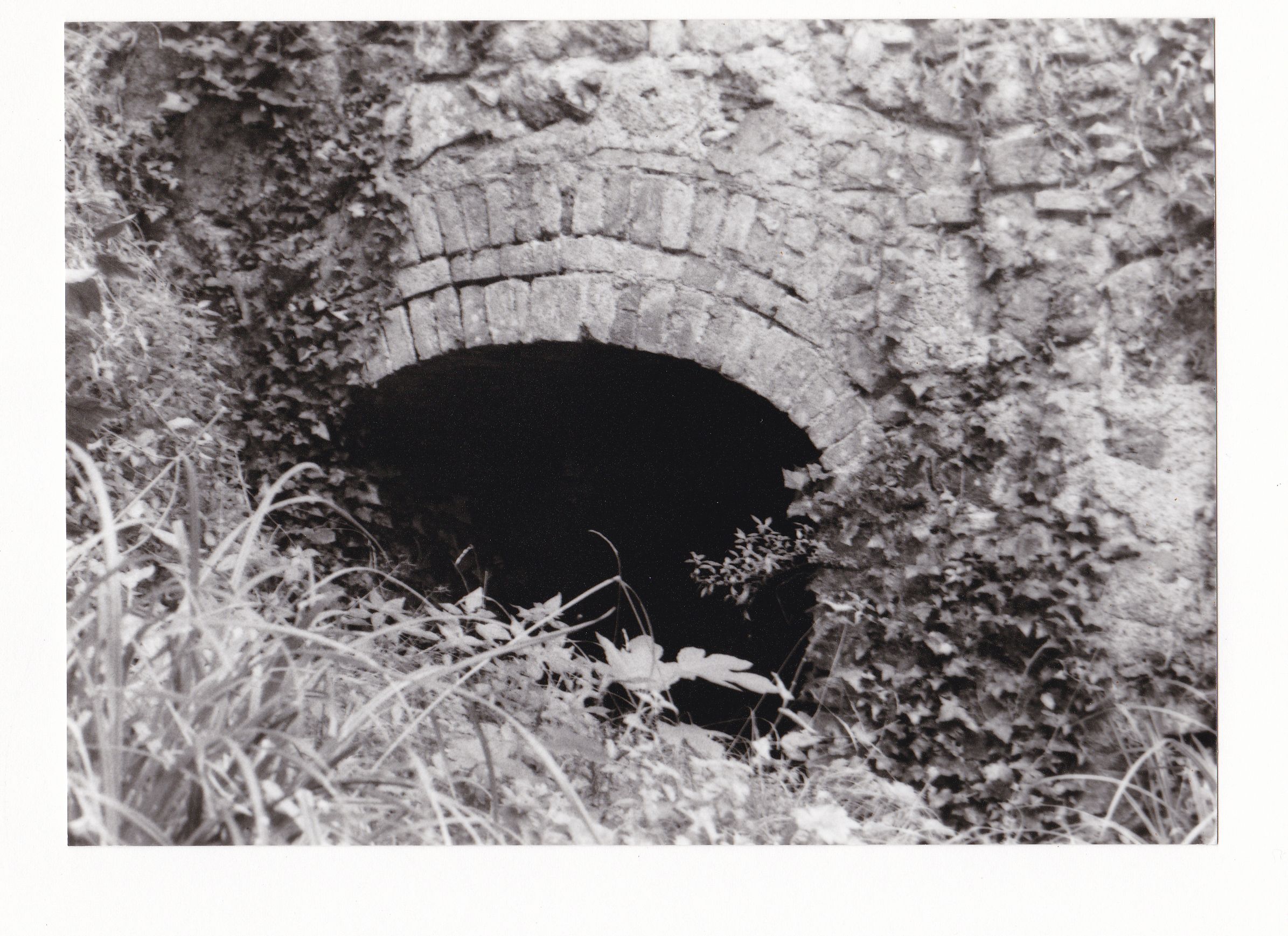Mulino del Tamagnino