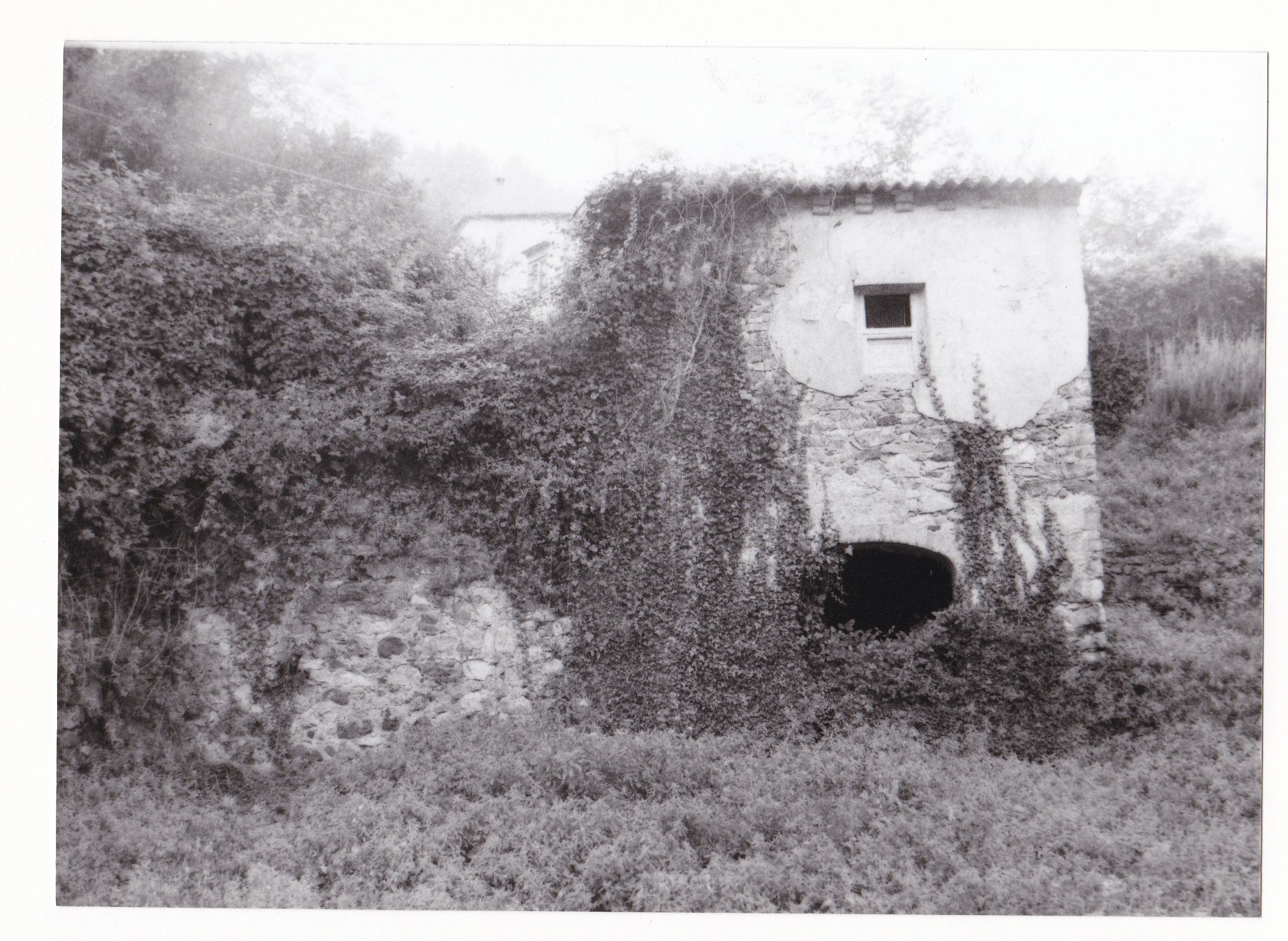 Mulino del pero