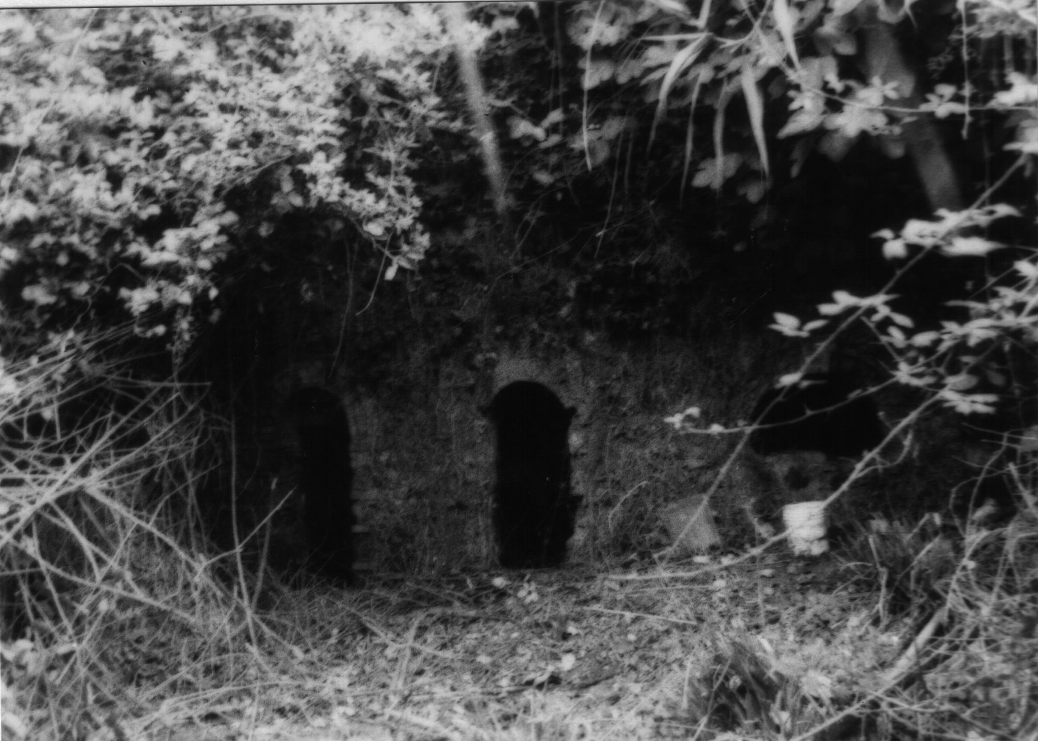 Mulino Villa Bellavista