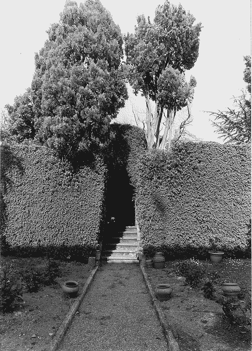 Giardino di Villa Stisted