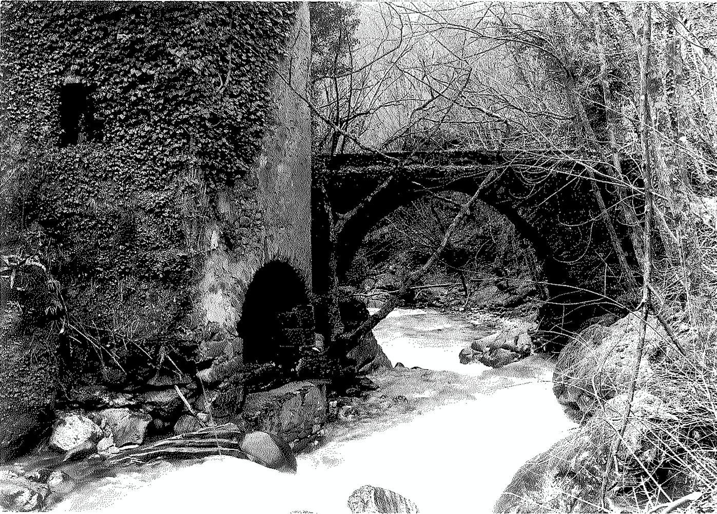 Ponte sul Torrente Lima