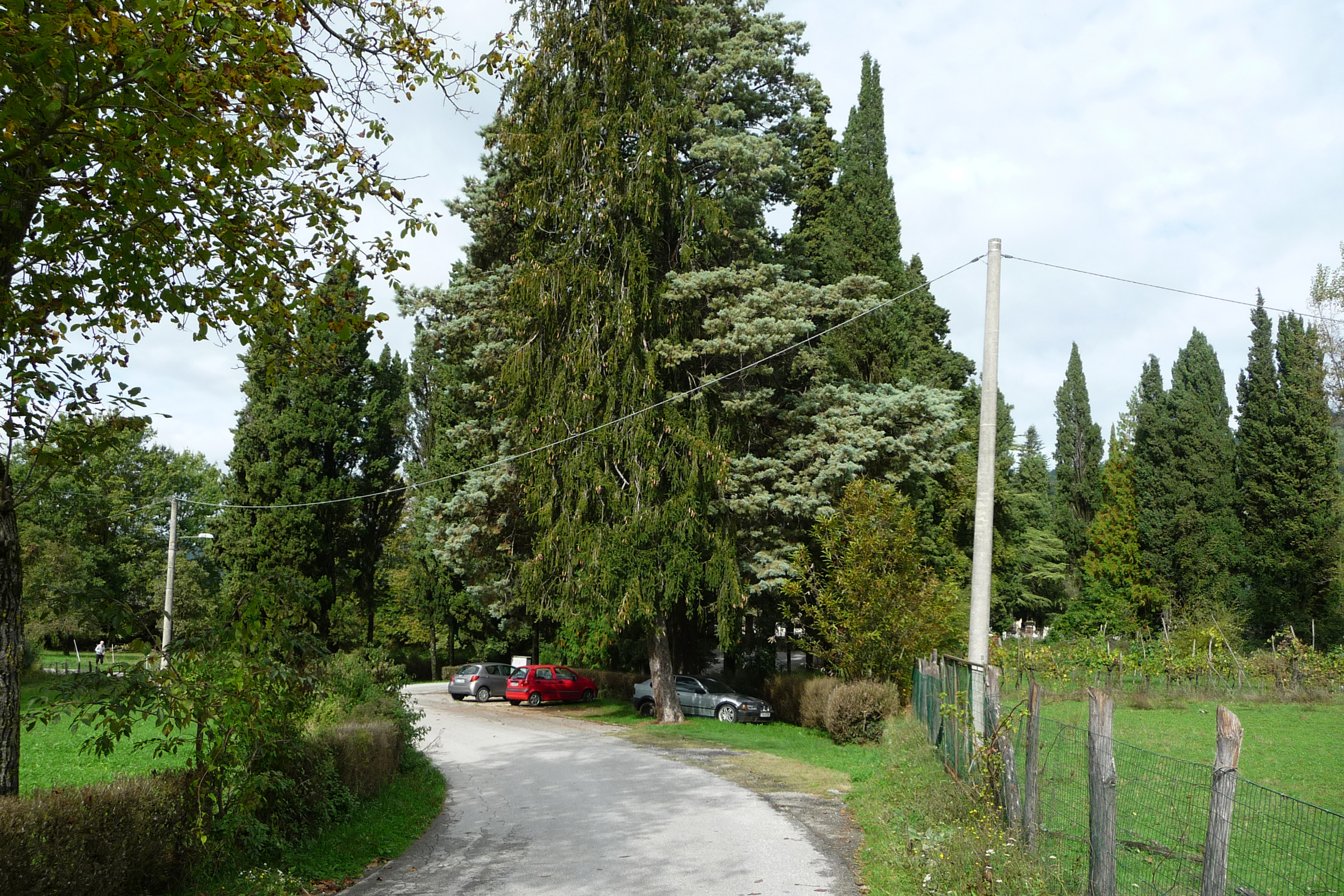 Parco della Rimembranza di Barga