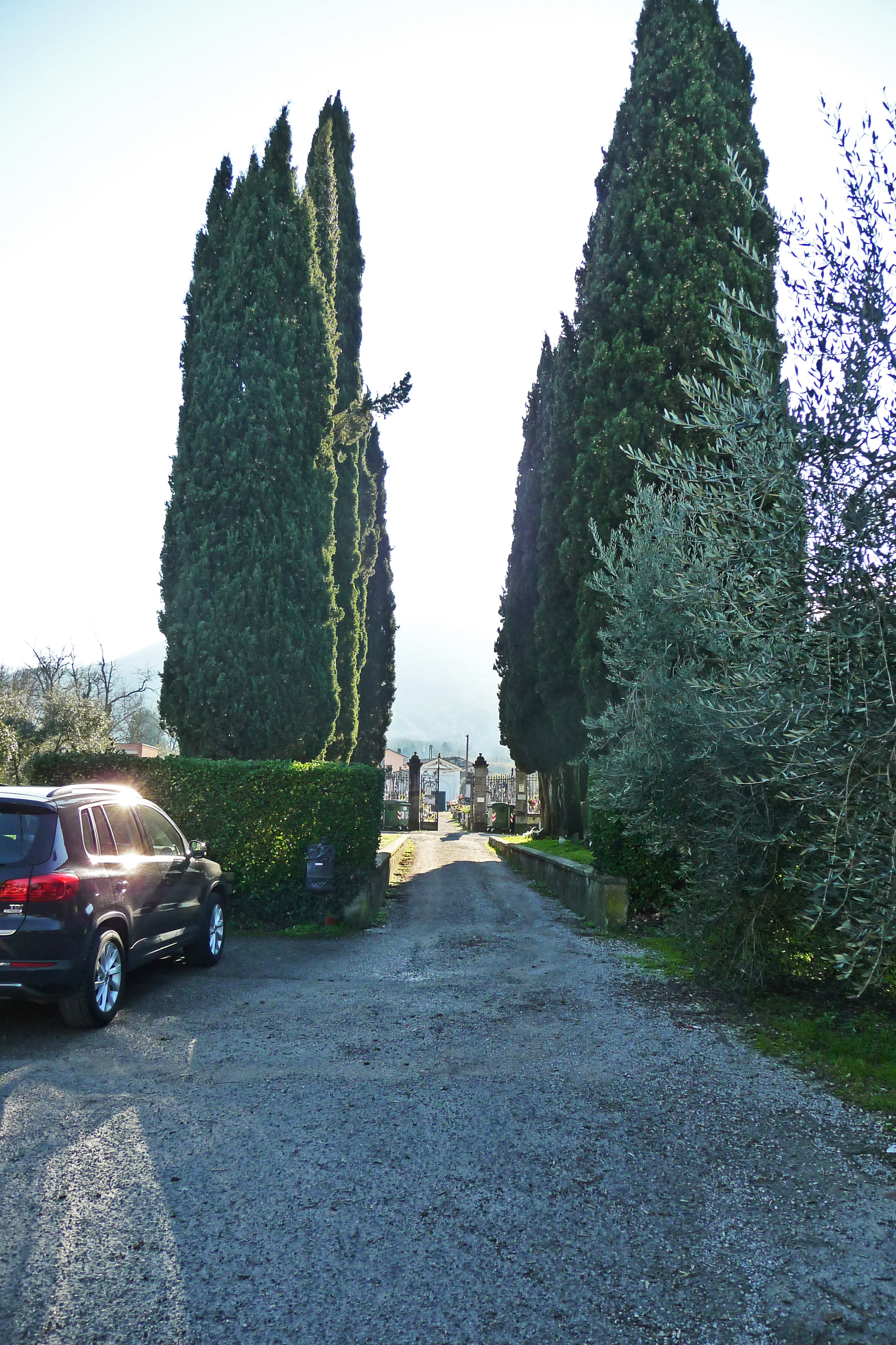 Viale della Rimembranza di Massa Macinaia