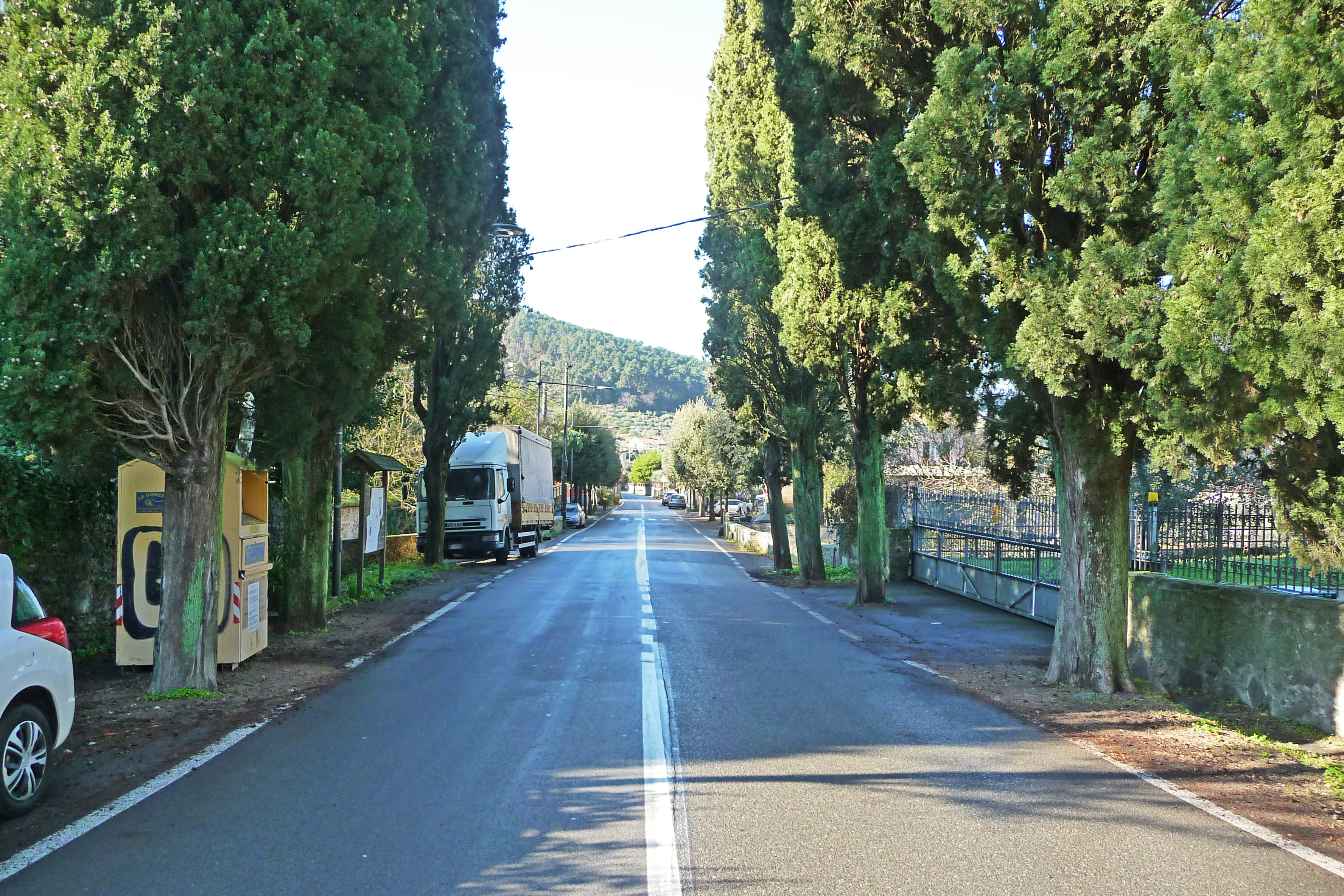 Viale della Rimembranza di Vorno