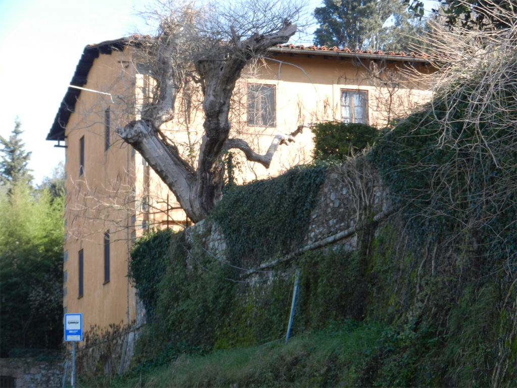 annesso di Villa Antelminelli, poi Arcivescovile, oggi Meschi