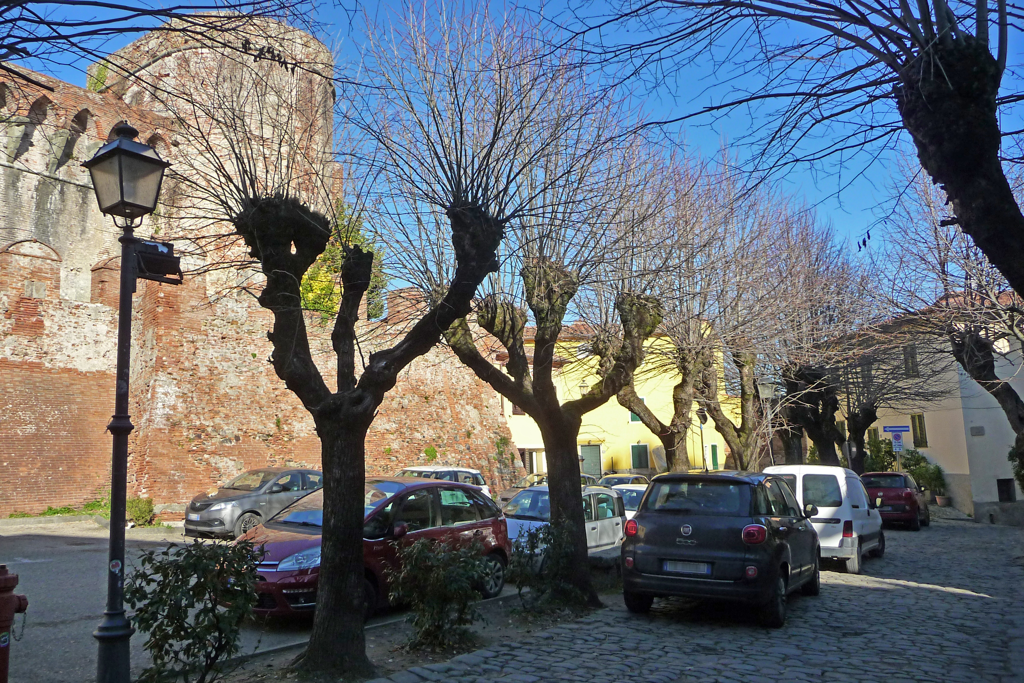 Viale della Rimembranza di Montecarlo