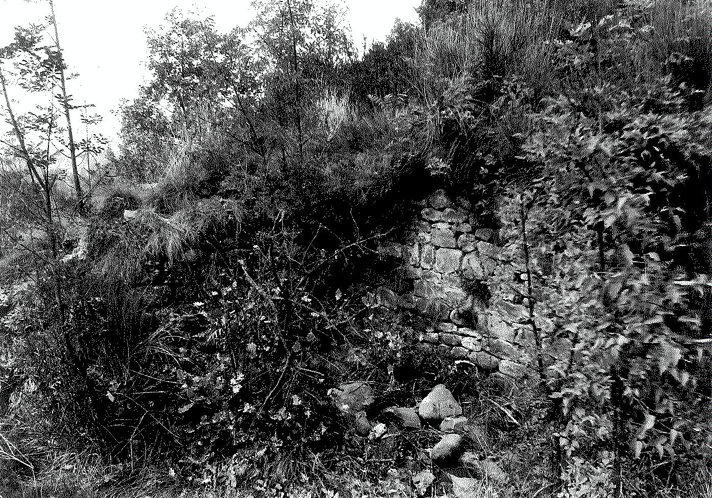 Castello di San Donnino