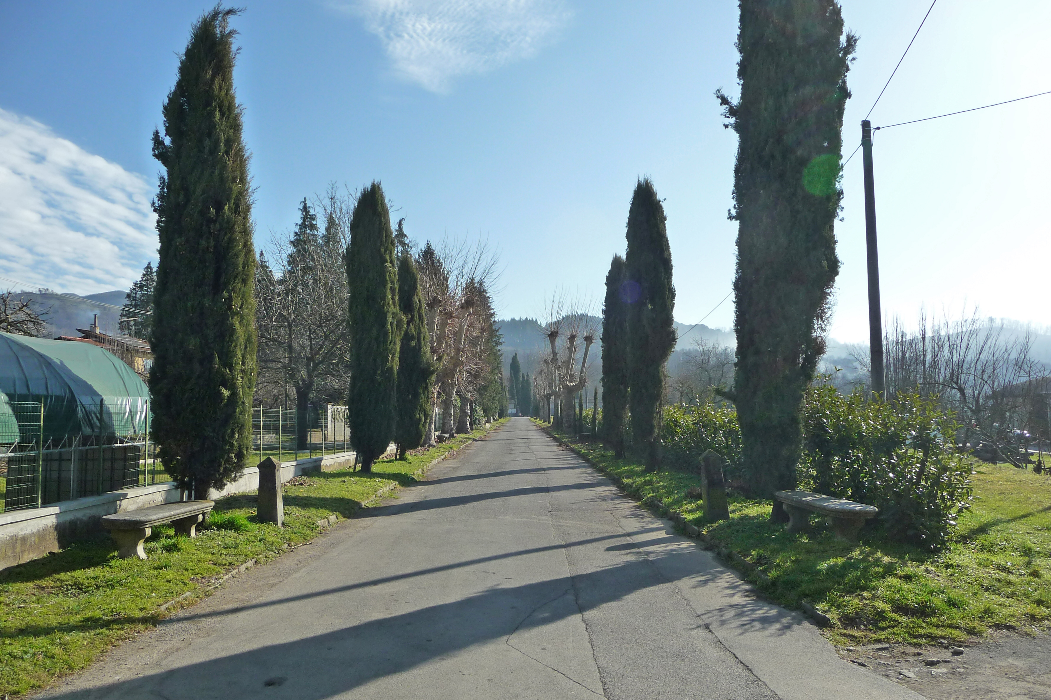 Viale della Rimembranza di Pieve Fosciana