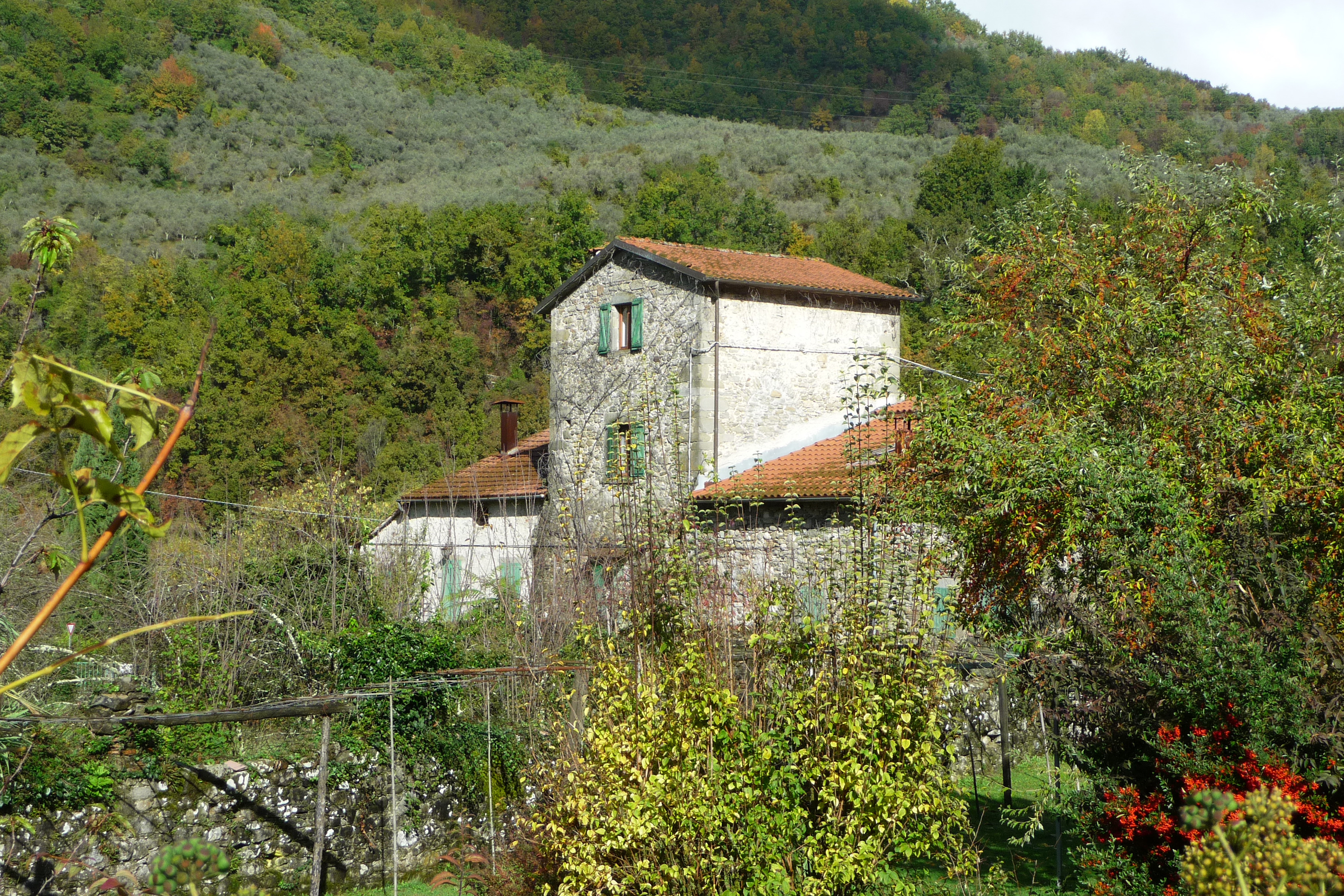 [Casa rurale La Colombiera, in Località Codiponte, Strada Comunale di Casciana, s.n.c.]