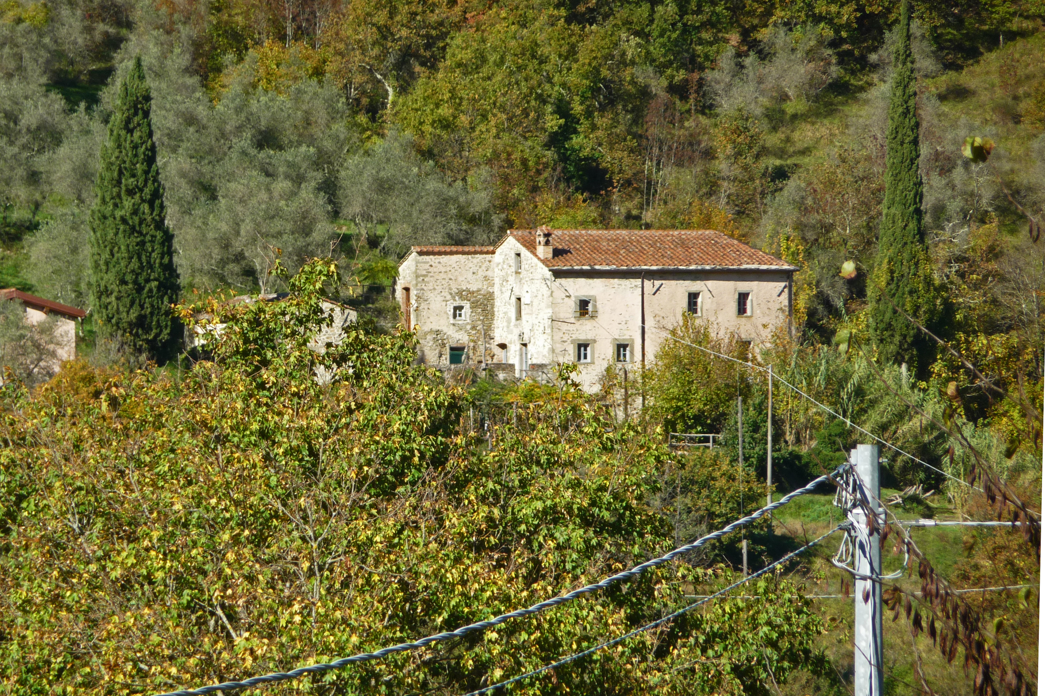 [Casa rurale La Cuncia, in Località Codiponte, Strada vicinale bosco di Licciano, 50]