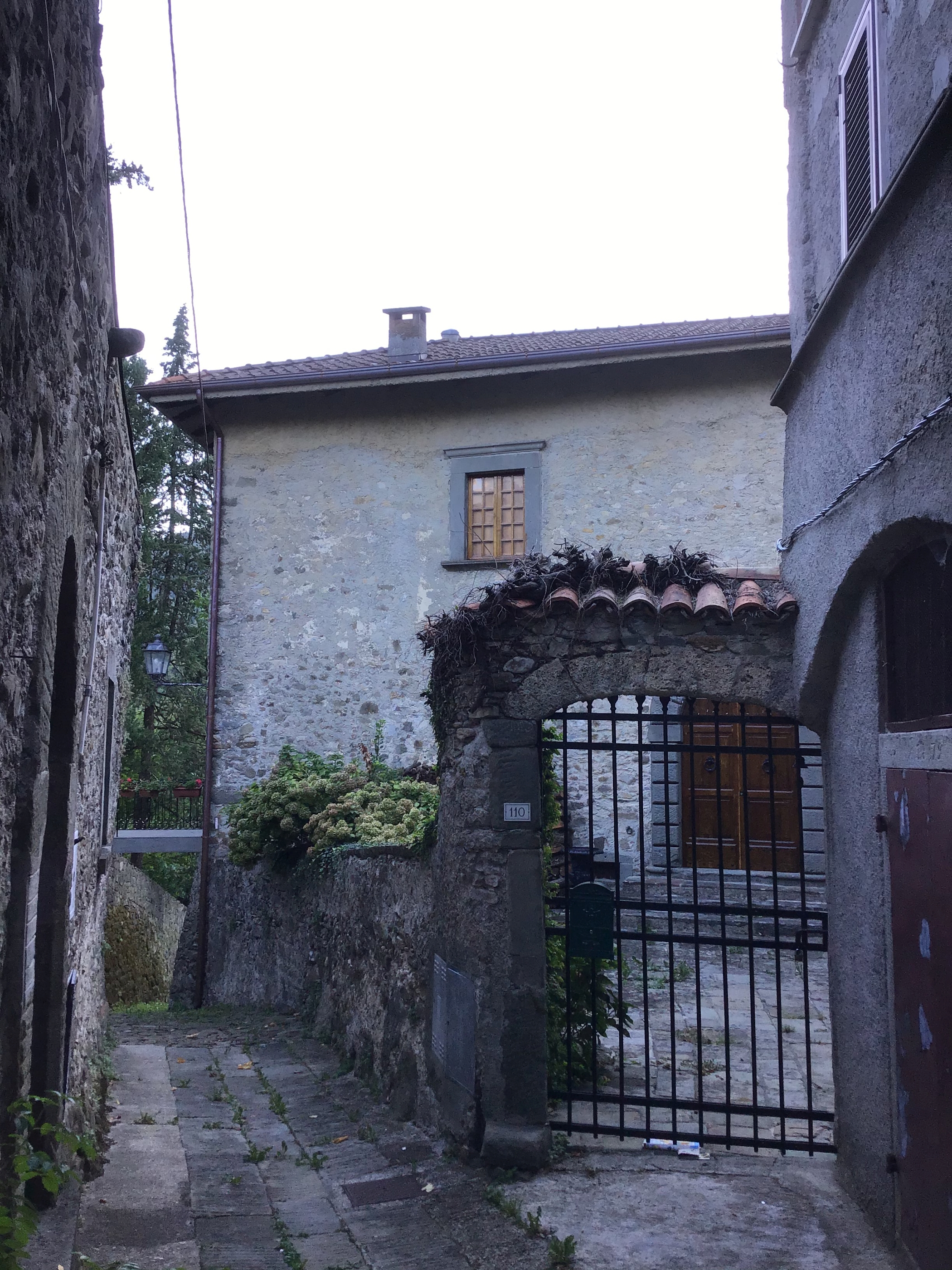 [Palazzo in via del Borgo, 110