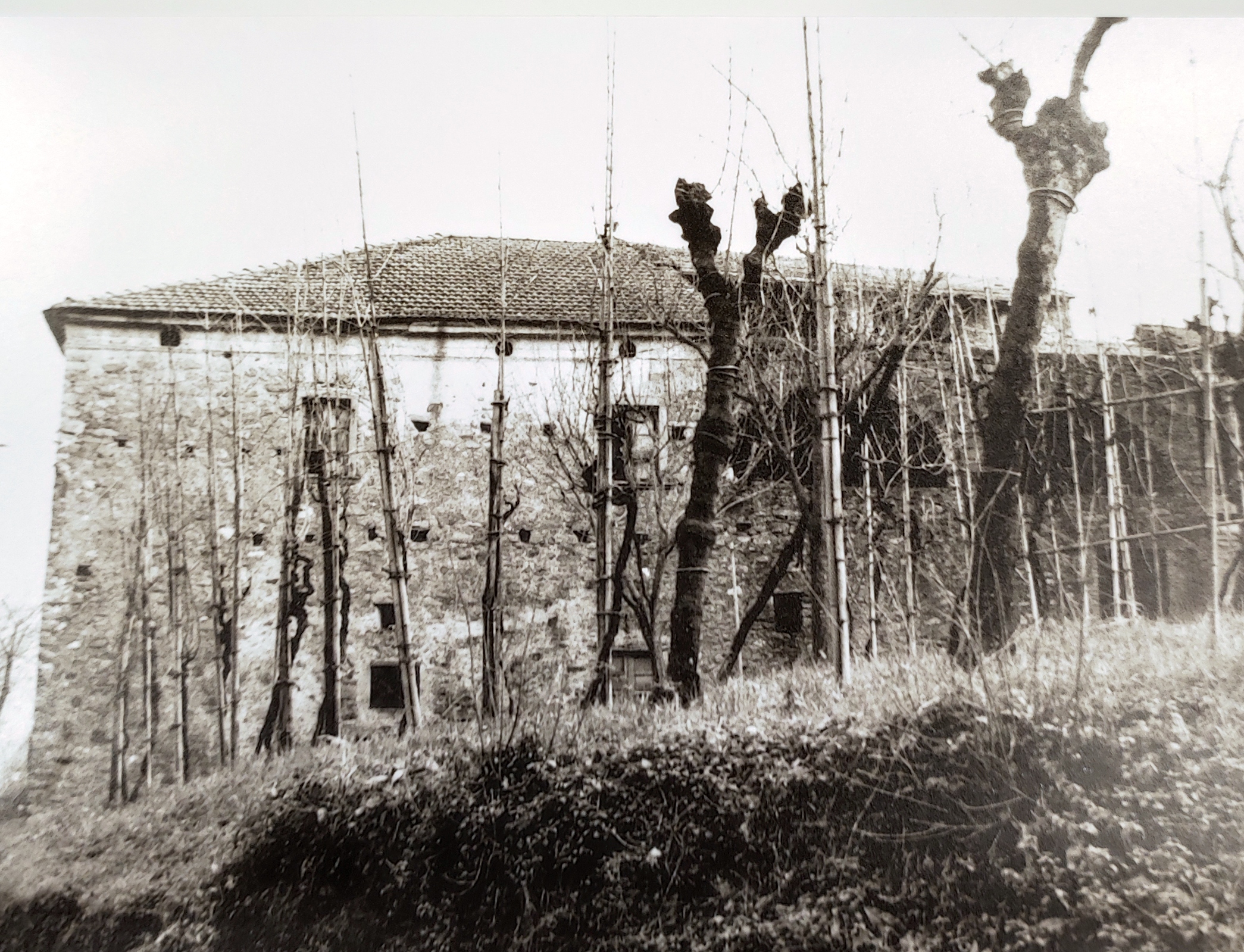 Casa Bassioni