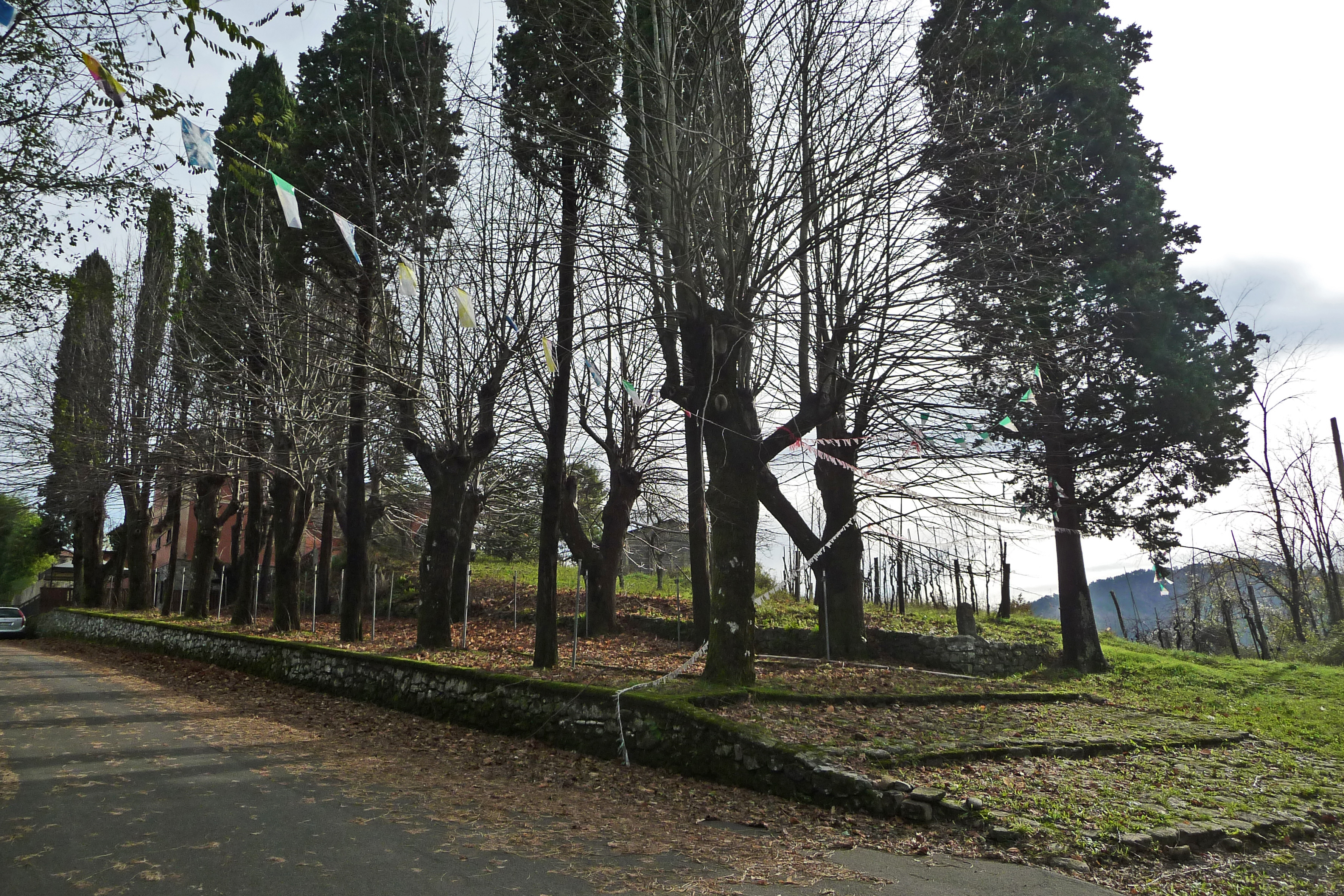 Viale della Rimembranza di Gavedo