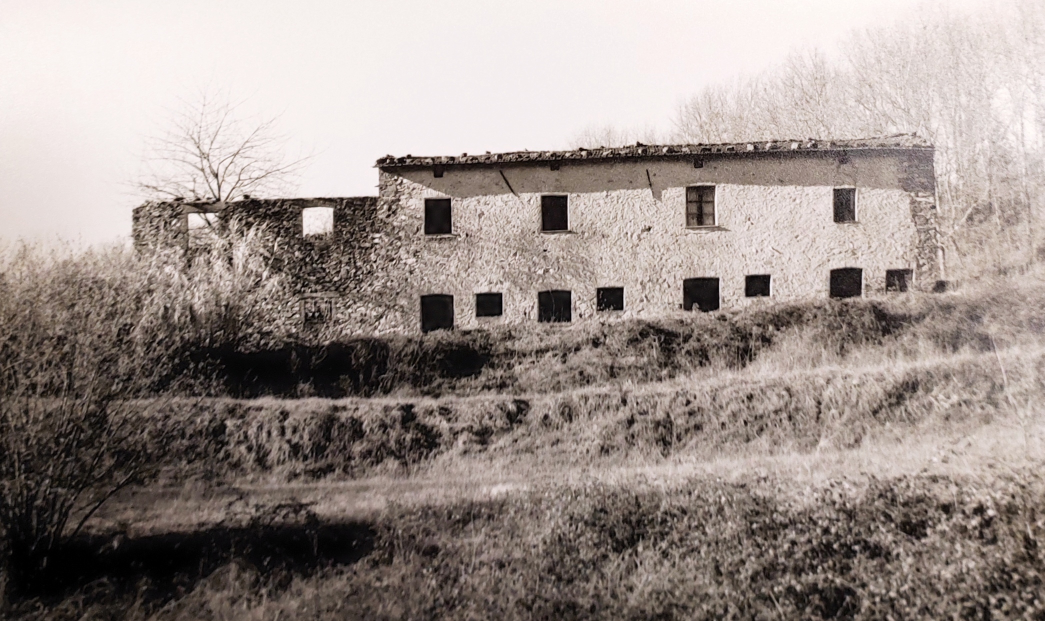 Montemegio