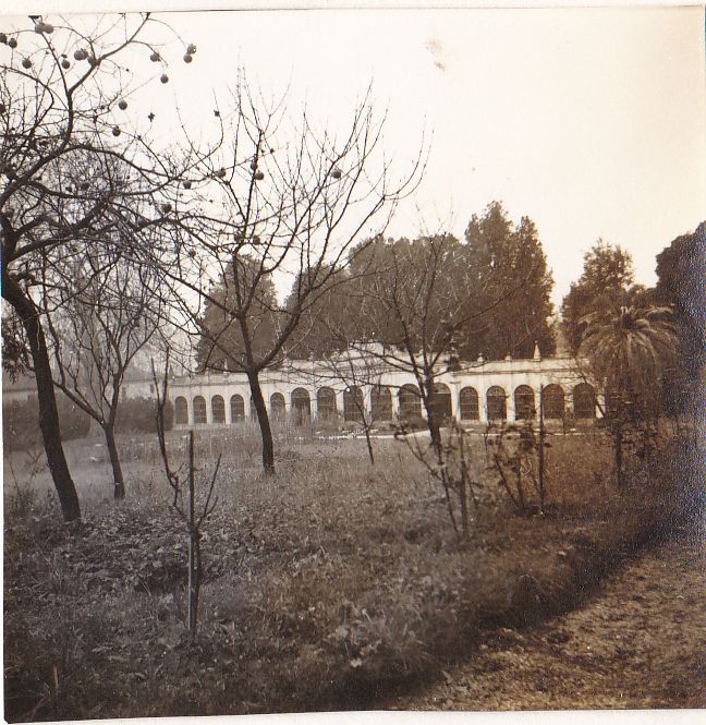 limonaia della villa Dal Borgo