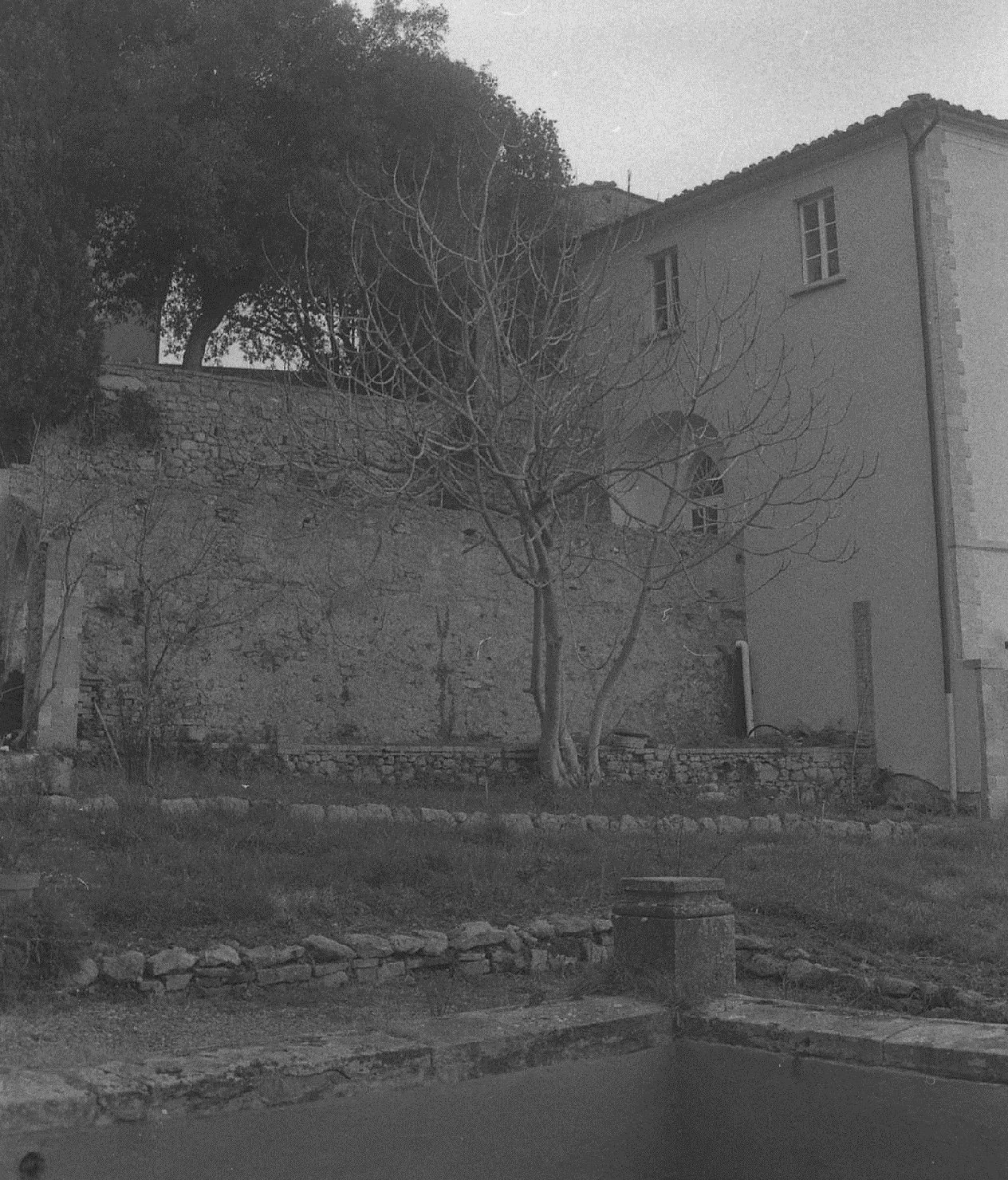 Fattoria della villa il Palagione