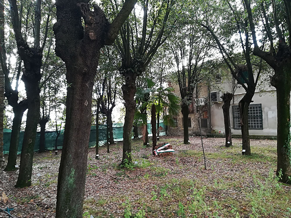 Parco della Rimembranza di Tizzana
