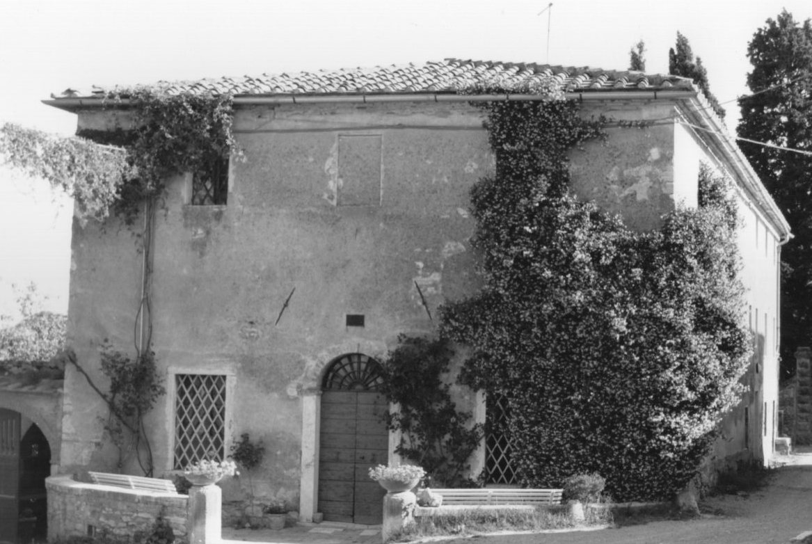 OLIVIERA DI POGGIO PINCI