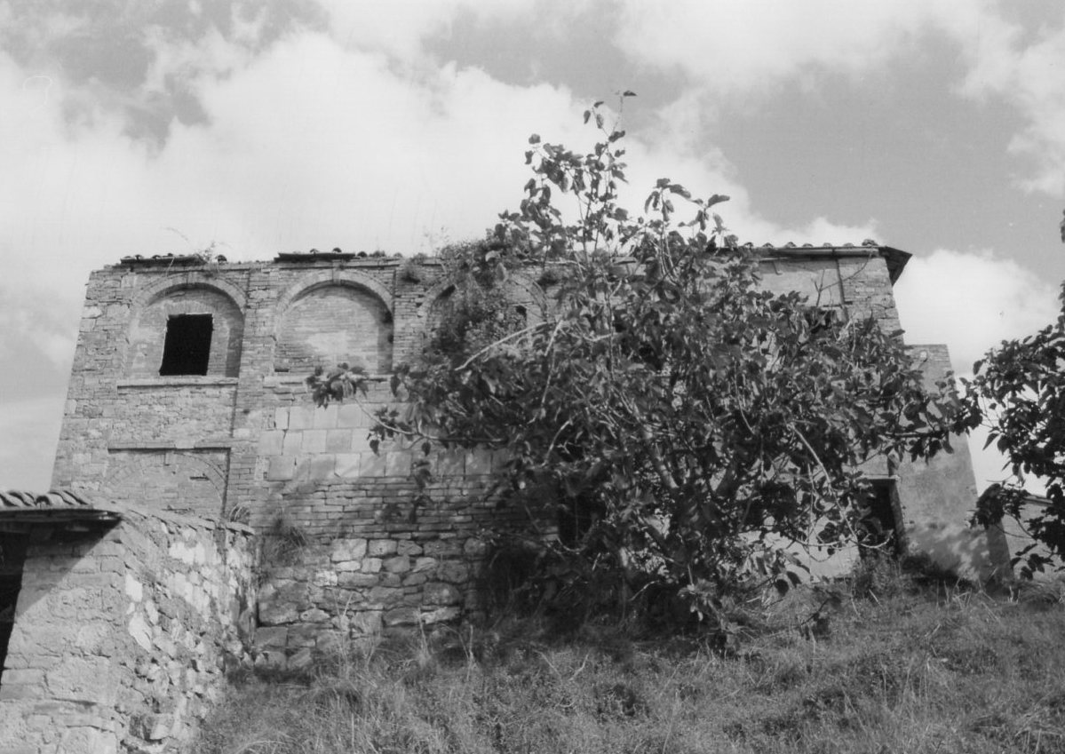PODERE PALAZZO MONACI