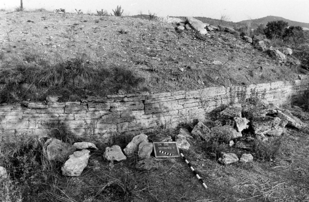 tamburo
