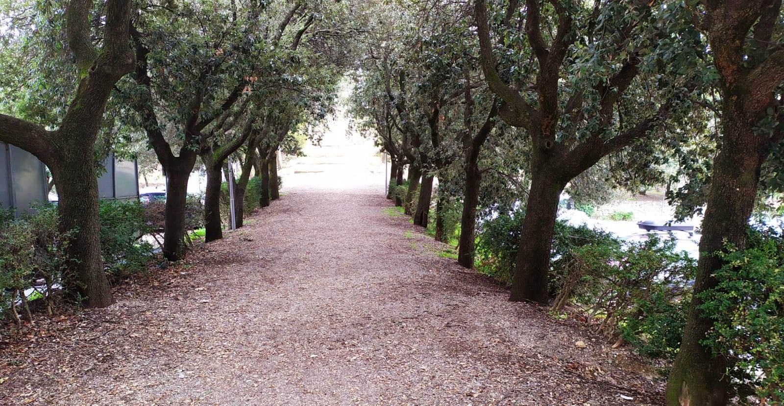 Parco della Rimembranza di Castiglione d’Orcia , Portone