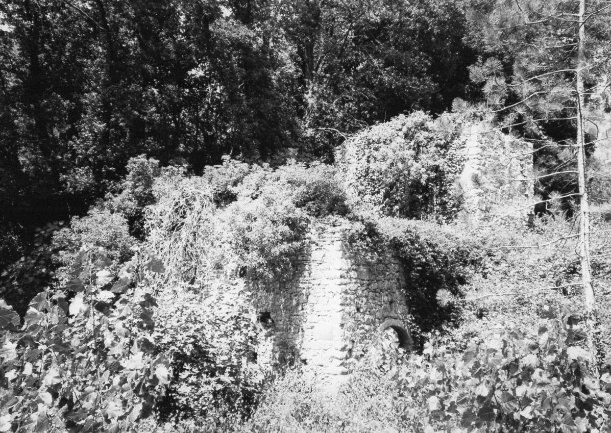 MULINO DI CASTELNUOVO DELL'ABATE