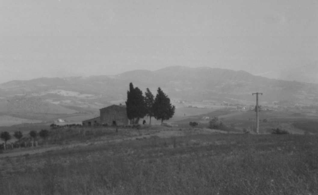 PODERE BELCARO