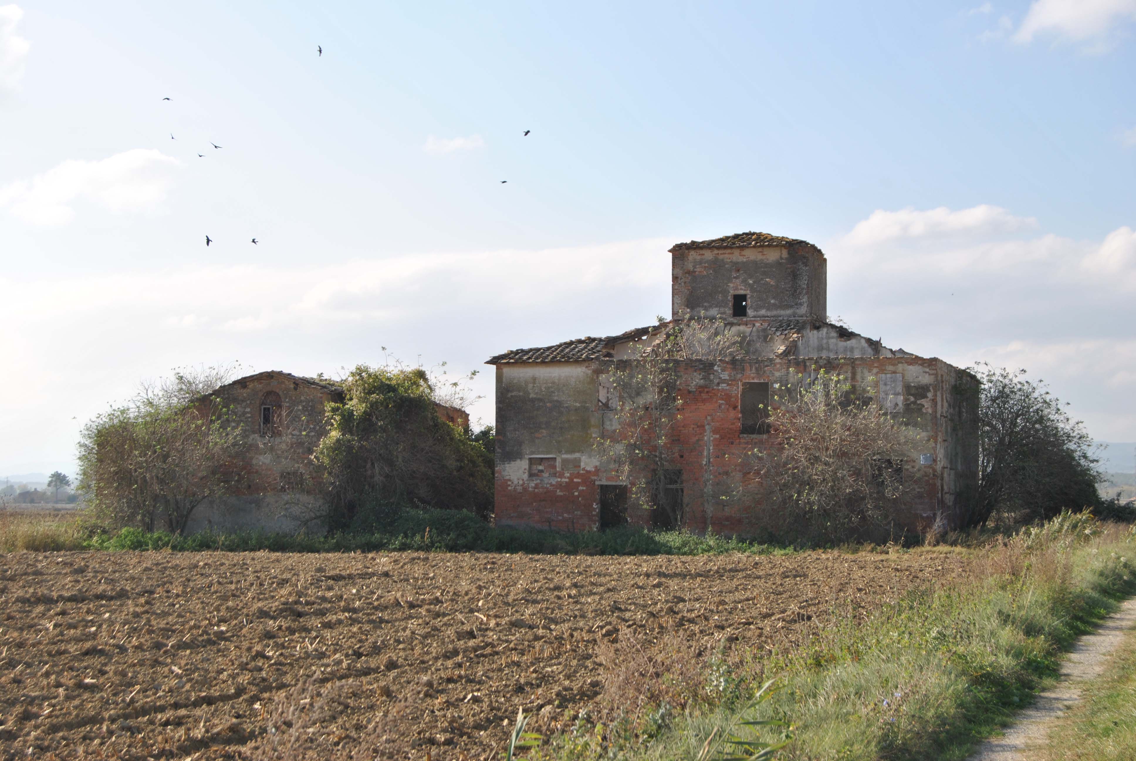 Podere Cinacchio II