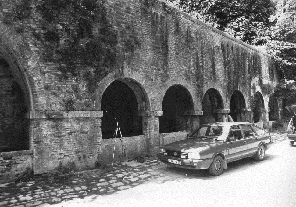FONTI MEDIEVALI