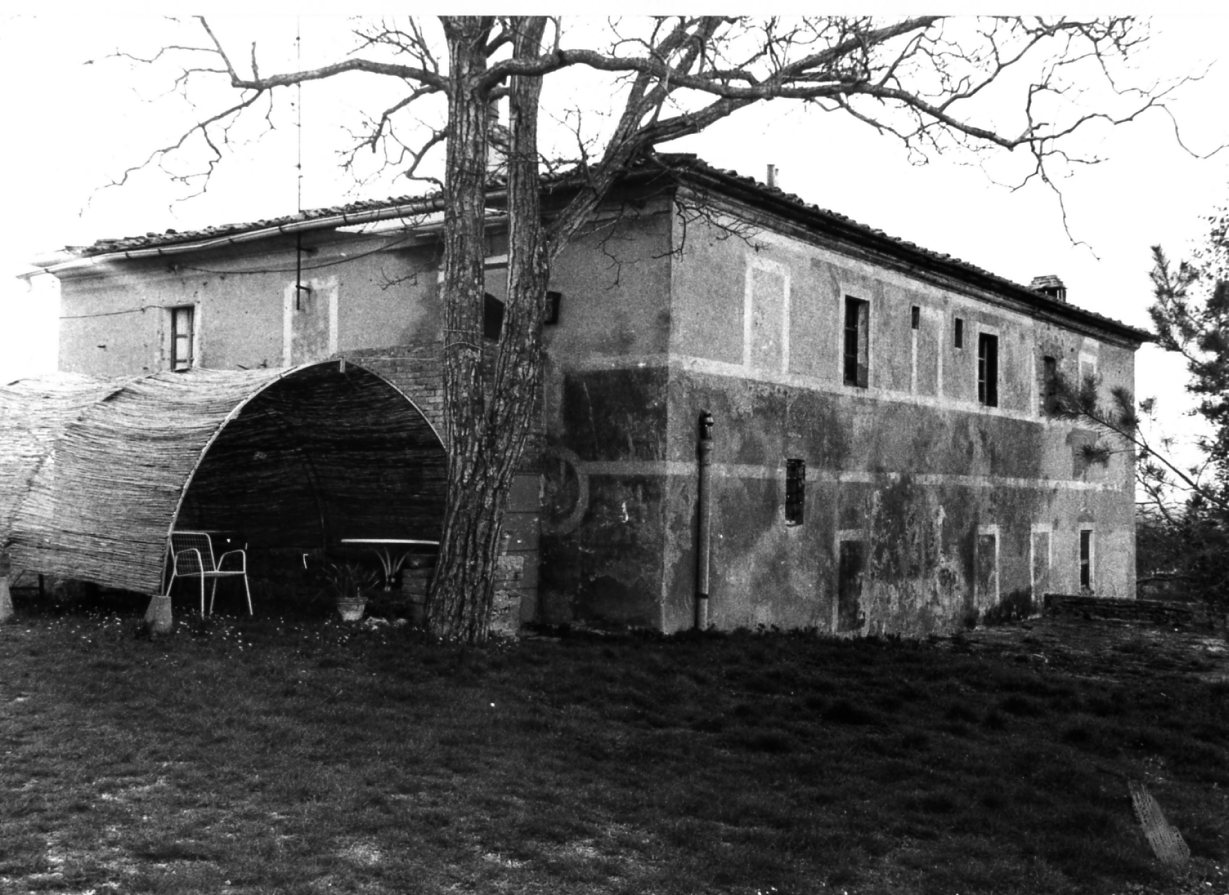 PODERE LE TOLFE