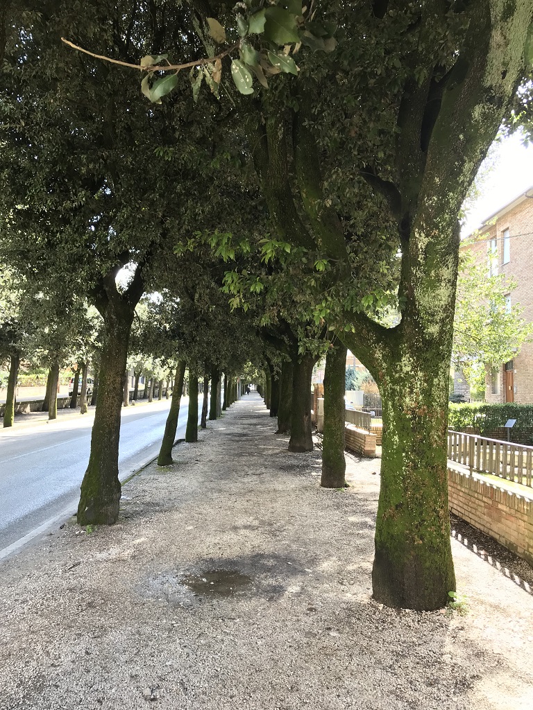 viale della Rimembranza di Gubbio