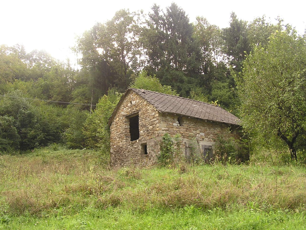 Fienile/stalla
