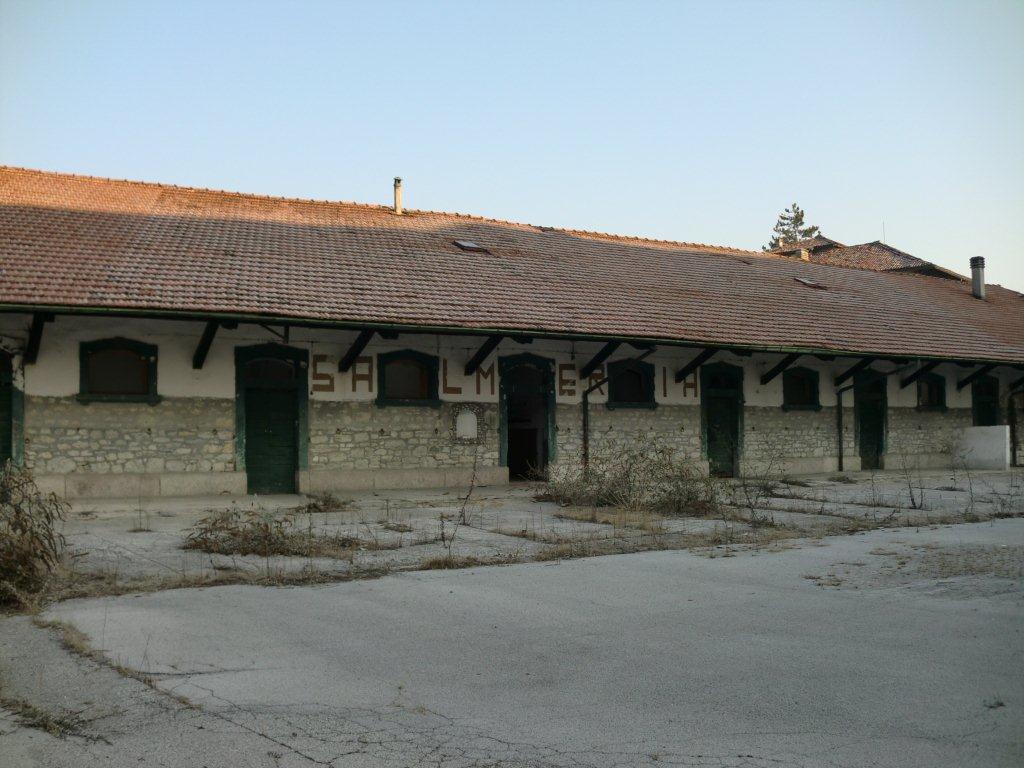 ex salmeria