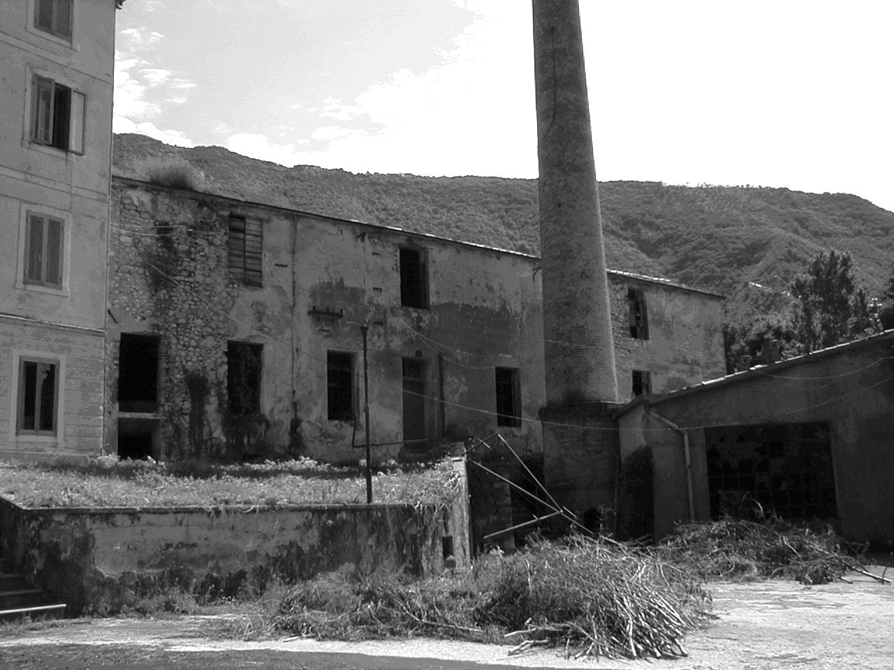 Cartiera