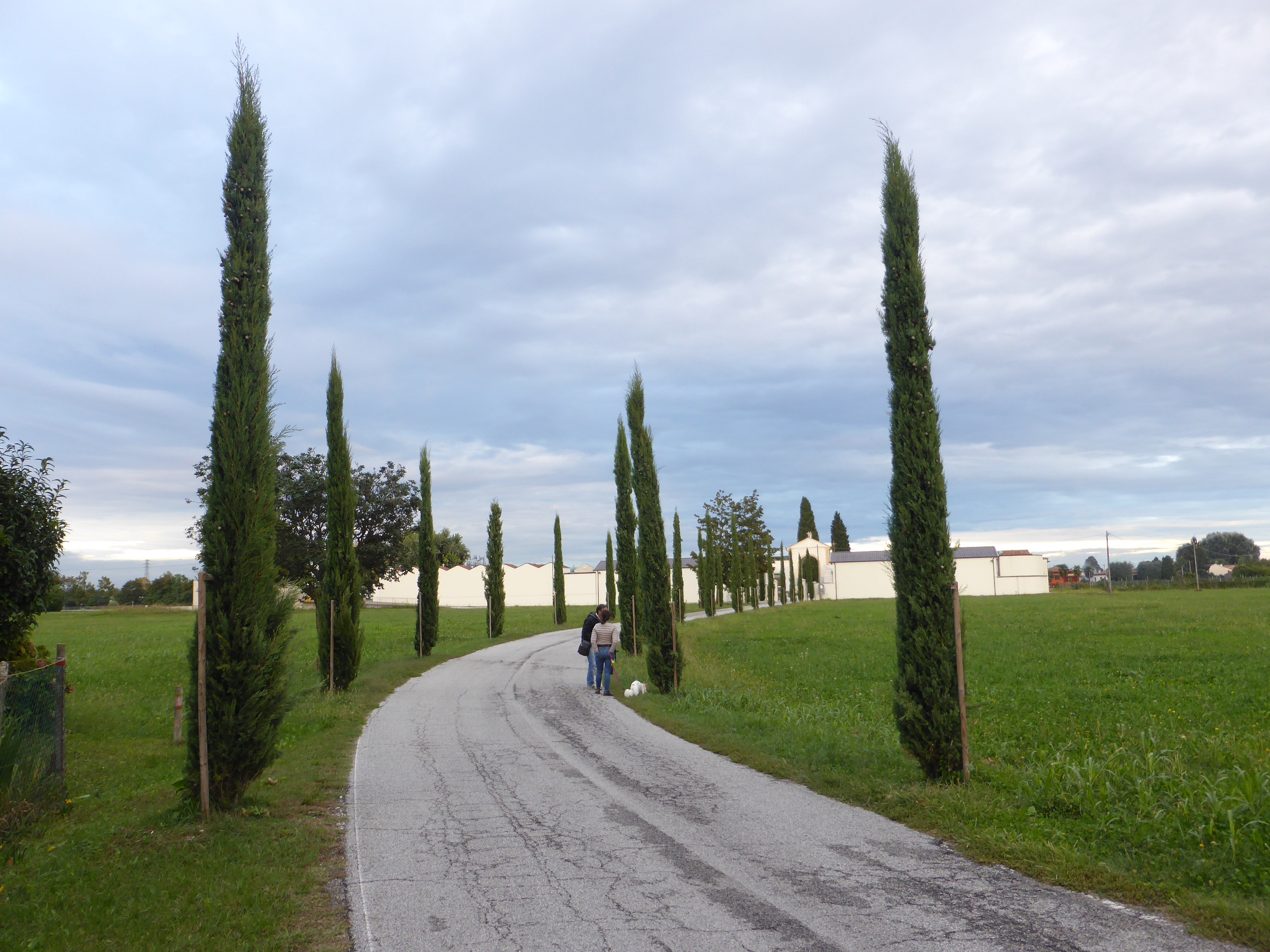 Viale della Rimembranza di Carmignano di Brenta